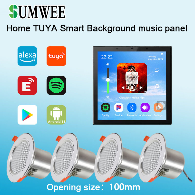 4 Inch Android 11 Tuya Smart H - Audio Music Background 评论和价格