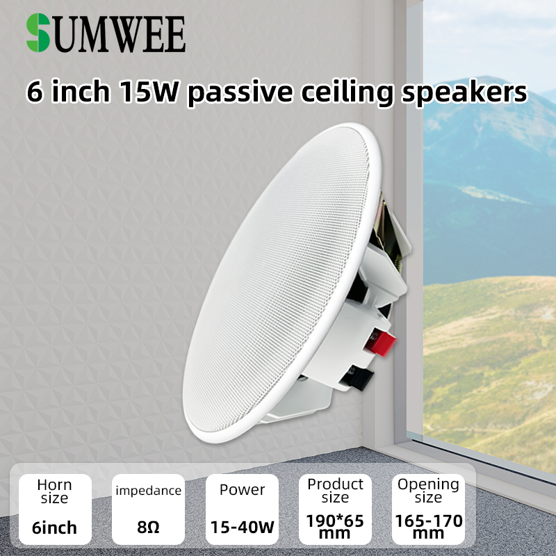 6 Inch 8ohm Ceiling Speaker Fu - Audio Music Background 评论和价格