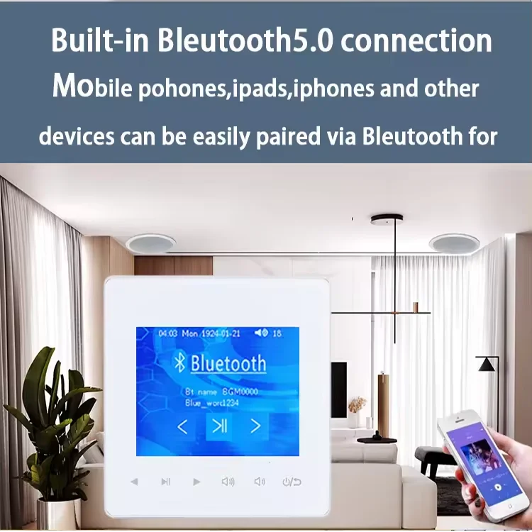 Home Bluetooth Wall Amplifier  - Audio Music Background 评论和价格
