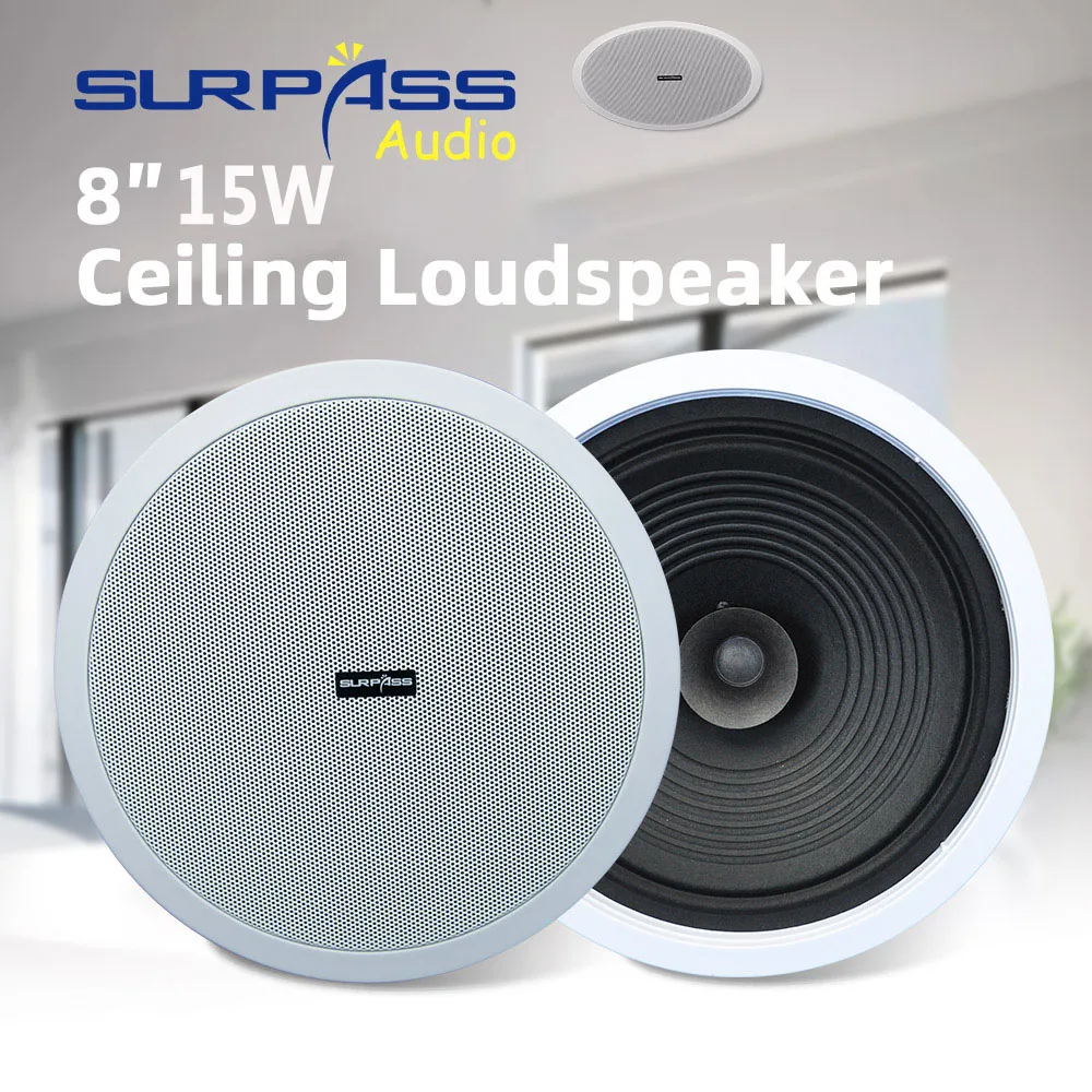 Home Audio Sound System 8inch  - Audio Music Background 评论和价格