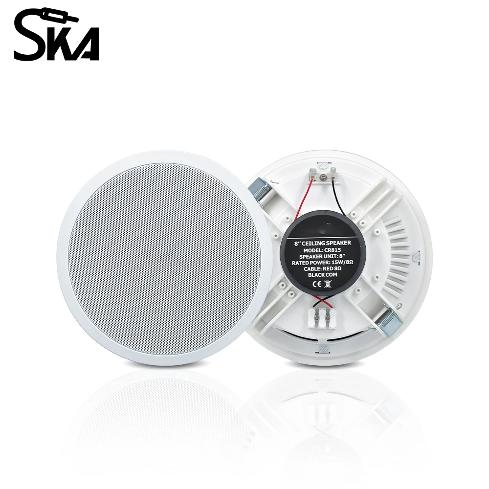 PW4420T+CR815 Smart Home Audio - Audio Music Background 评论和价格