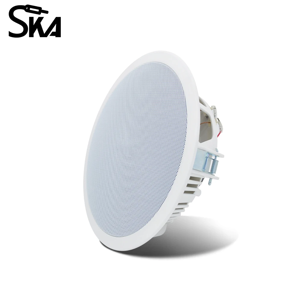PW4420T+CR815 Smart Home Audio - Audio Music Background 评论和价格