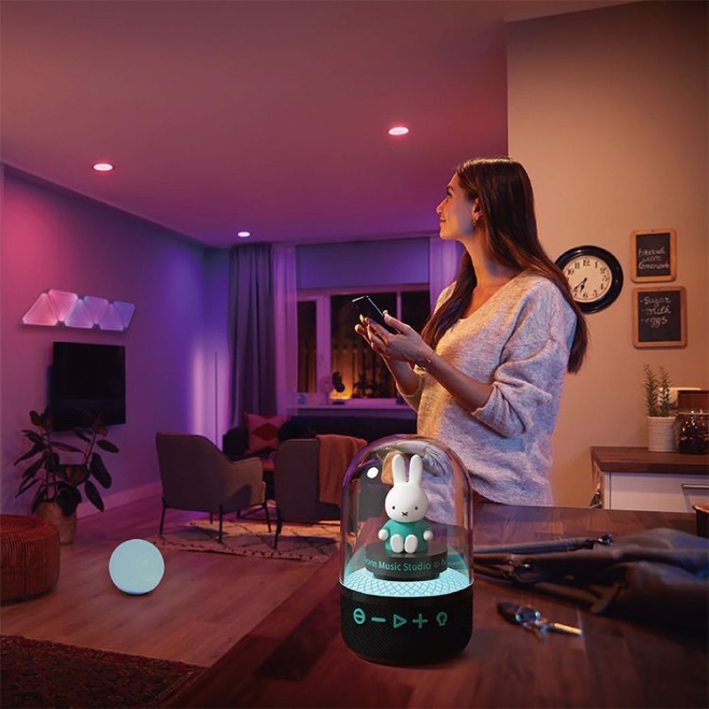 Kawaii Miffy Wireless Desktop  - Audio Music Edit 评论和价格