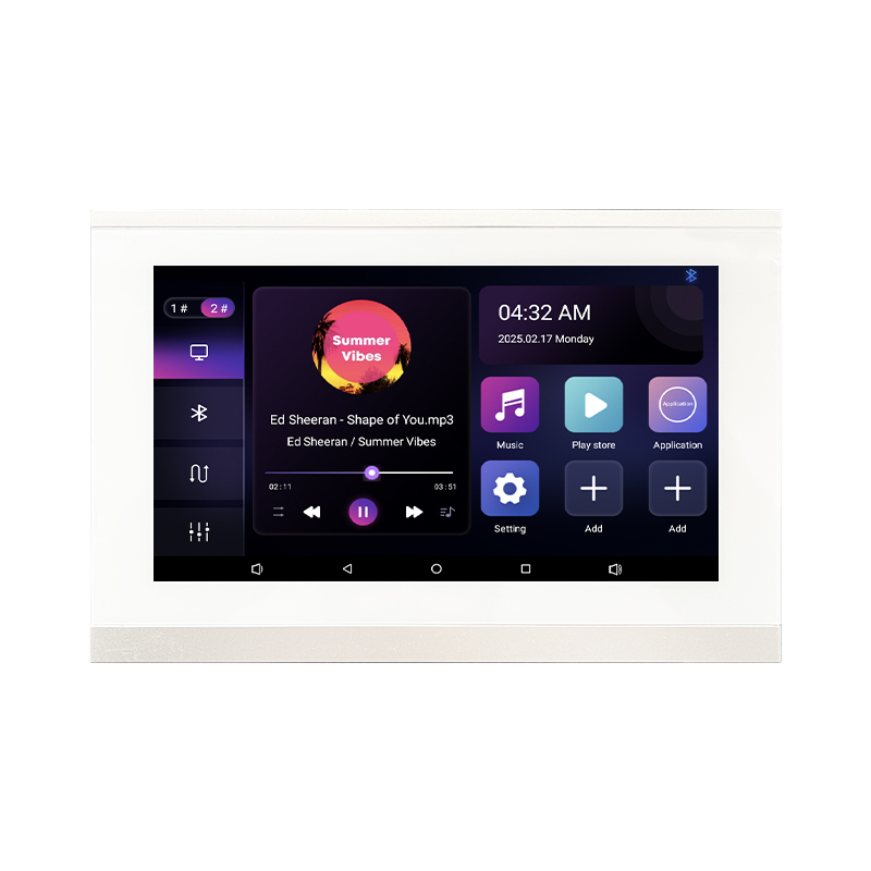 2Zone Audio In Wall Amplifier  - Audio Music Background 评论和价格