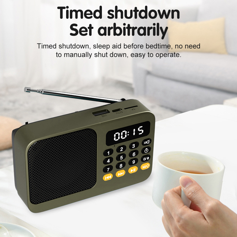 Handheld Rechargeable Digital  - Audio Music App 评论和价格