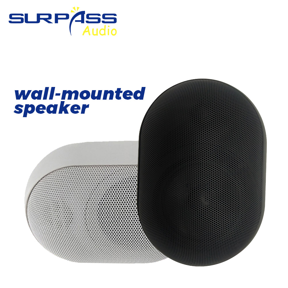 30W Wall-mounted Speaker Water - Audio Music Background 评论和价格