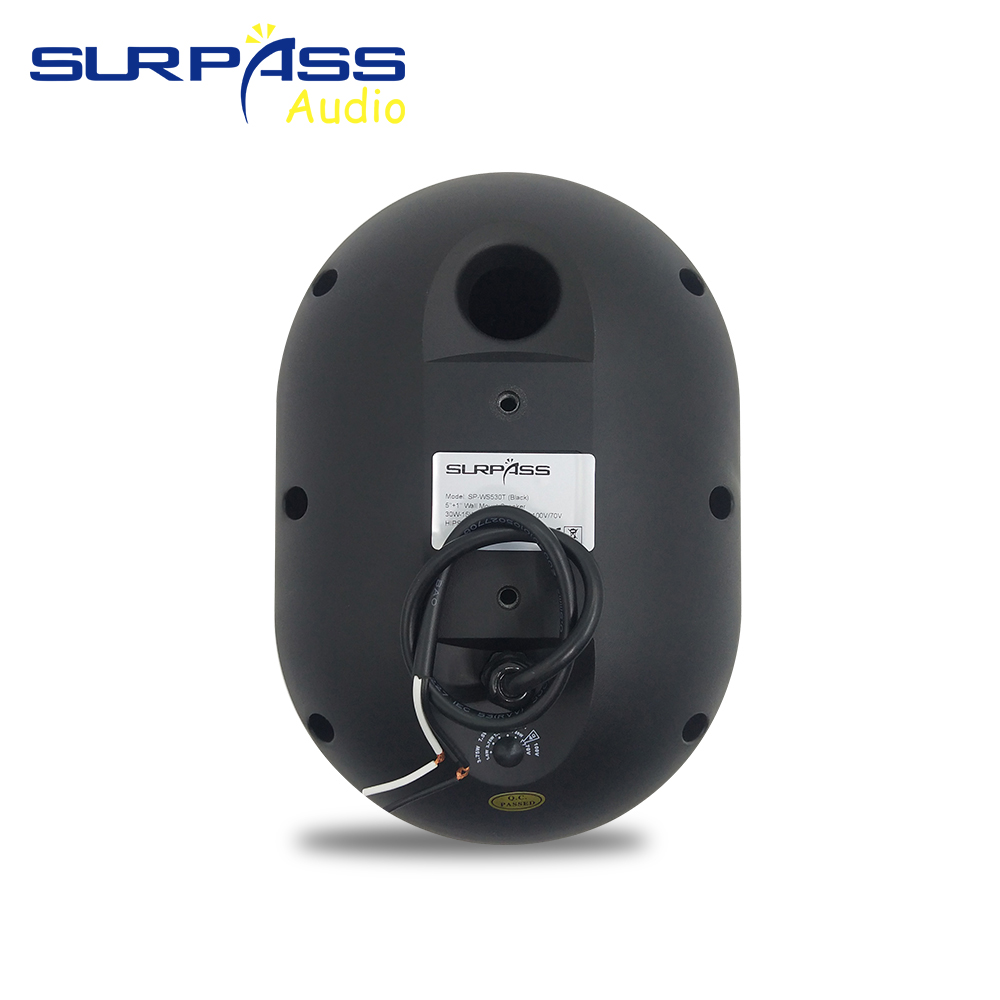 30W Wall-mounted Speaker Water - Audio Music Background 评论和价格