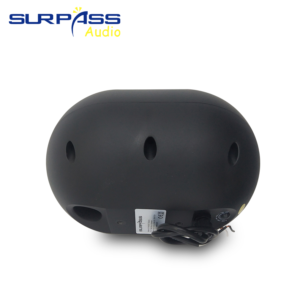 30W Wall-mounted Speaker Water - Audio Music Background 评论和价格
