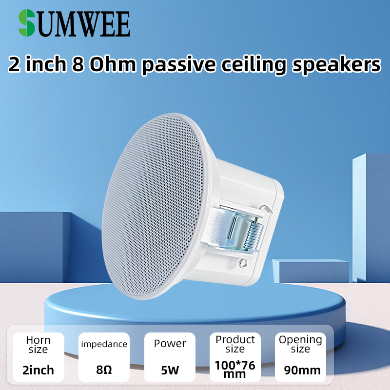 2Inch Mini 8 Ohm Ceiling Speak - Audio Music Background 评论和价格